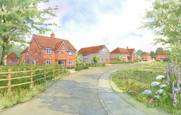 Watercolour artist impression street view of proposed residential development with meadow planting